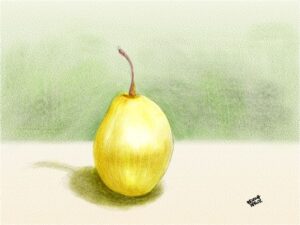 鸭梨