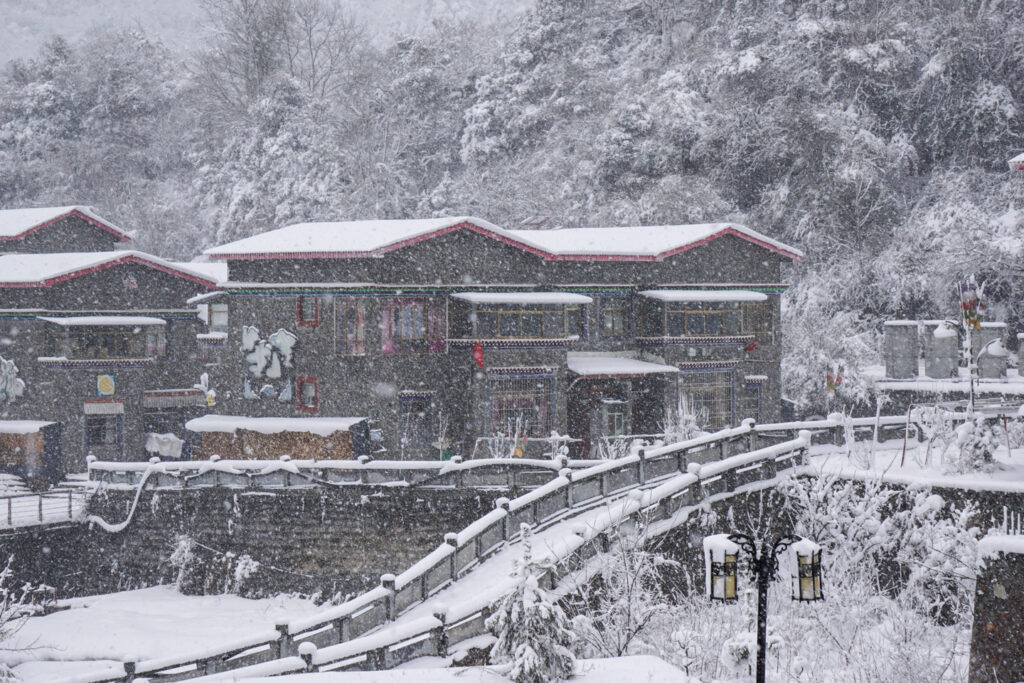 2025 年度小结 - 世界尽头、冷酷仙境，雪困高原