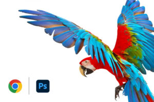 Photoshop 网页版限免