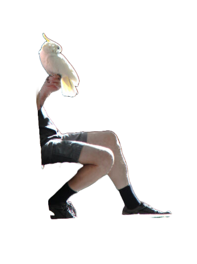 图4:背景去除测试