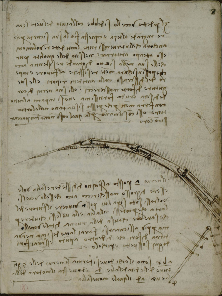 图6：达芬奇 鸟类飞行手稿，来源：书格