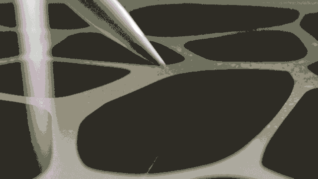 推拉修改，官网原图15M，进行了大幅压缩。