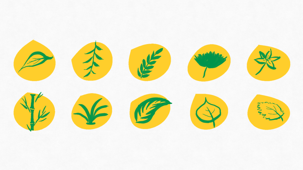 随意涂抹，各式各样的叶子。