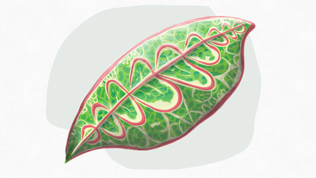 叶子上每个深浅不一的绿色斑点，都是用“一笔色块”的方式完成的。