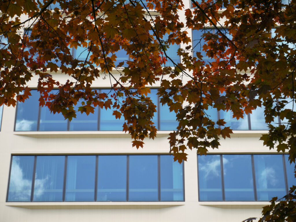 到了4月，能看见太阳的日子开始慢慢多起来，有种终于得救的感觉。2013年4月28日，摄于俄勒冈州波特兰市，Panasonic Lumix GF5